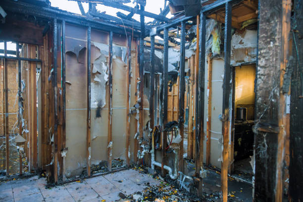 Professional Soot Cleanup technician working in Palm Coast, FL